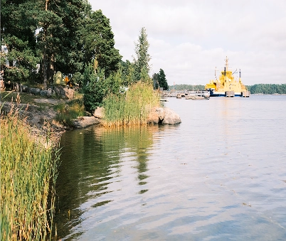 A shoreline with tall grass and rocks, trees on the left, and a yellow ferry moored on the water in the background under a cloudy sky.