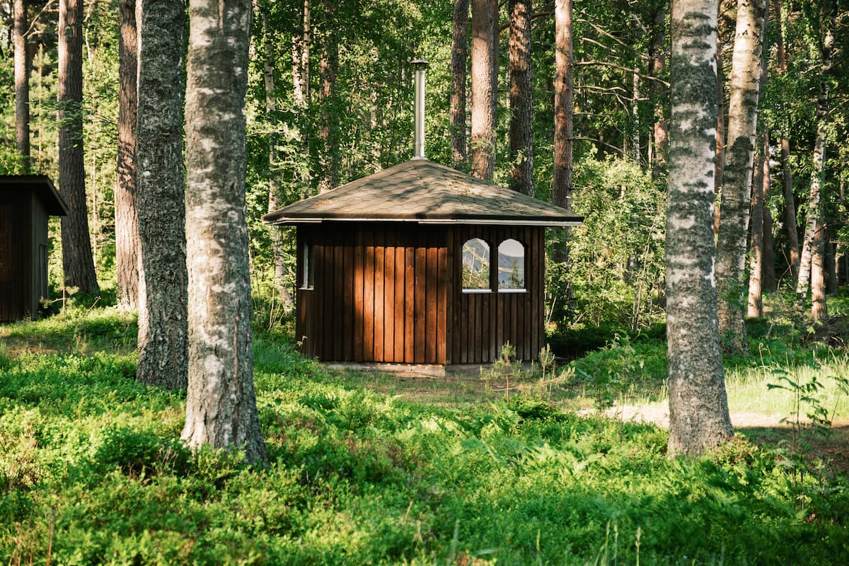 Small wooden cabin with a chimney stands among tall trees and green grass in a sunlit forest.