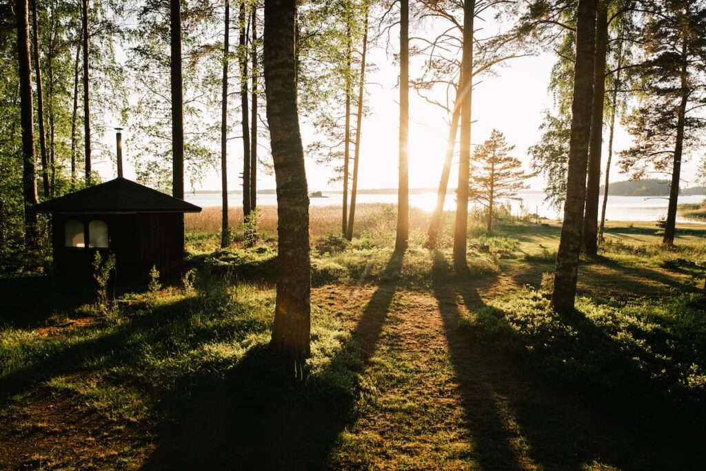 Sunlight streams through tall trees onto grassy ground near a small wooden cabin by a lake, creating long shadows and a peaceful, natural scene.