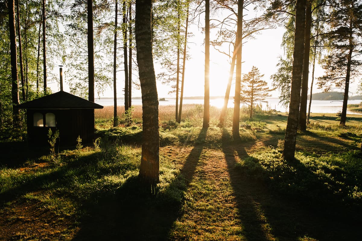 Sunlight streams through tall trees onto grassy ground near a small wooden cabin by a lake, creating long shadows and a peaceful, natural scene.