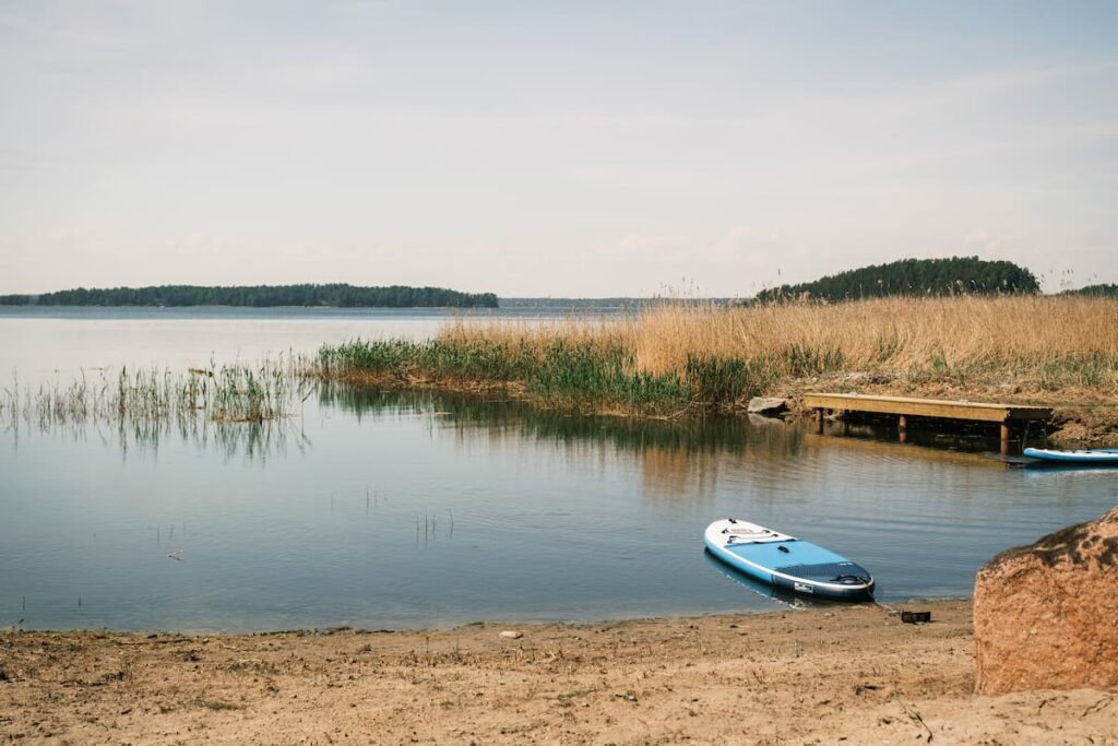 A calm lakeshore with tall reeds, a small wooden jetty, and a blue paddleboard resting on the sandy beach under a clear sky.