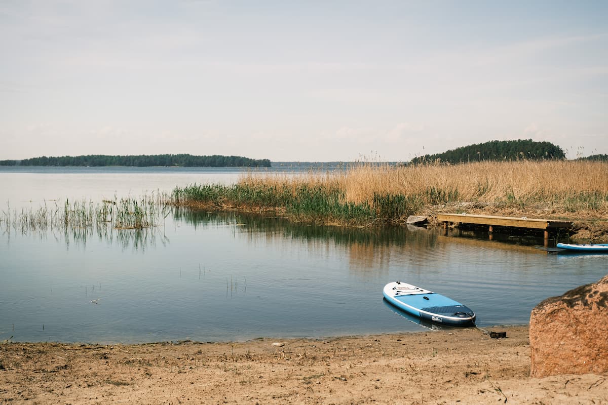 A calm lakeshore with tall reeds, a small wooden jetty, and a blue paddleboard resting on the sandy beach under a clear sky.
