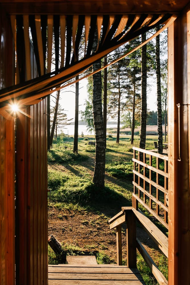 View from a wooden cabin doorway overlooking steps leading to a sunlit forest with tall trees and green grass, sunlight streaming through.