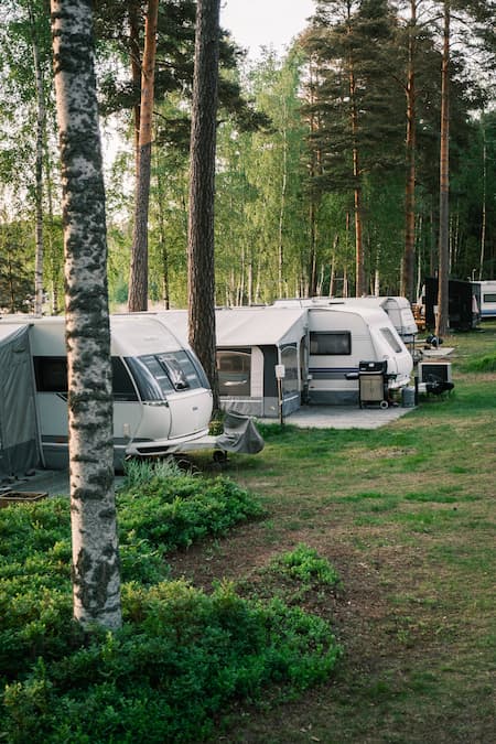 Several caravans are parked in a row among tall trees at a forest campsite, with barbecues and outdoor furniture set up beside them.