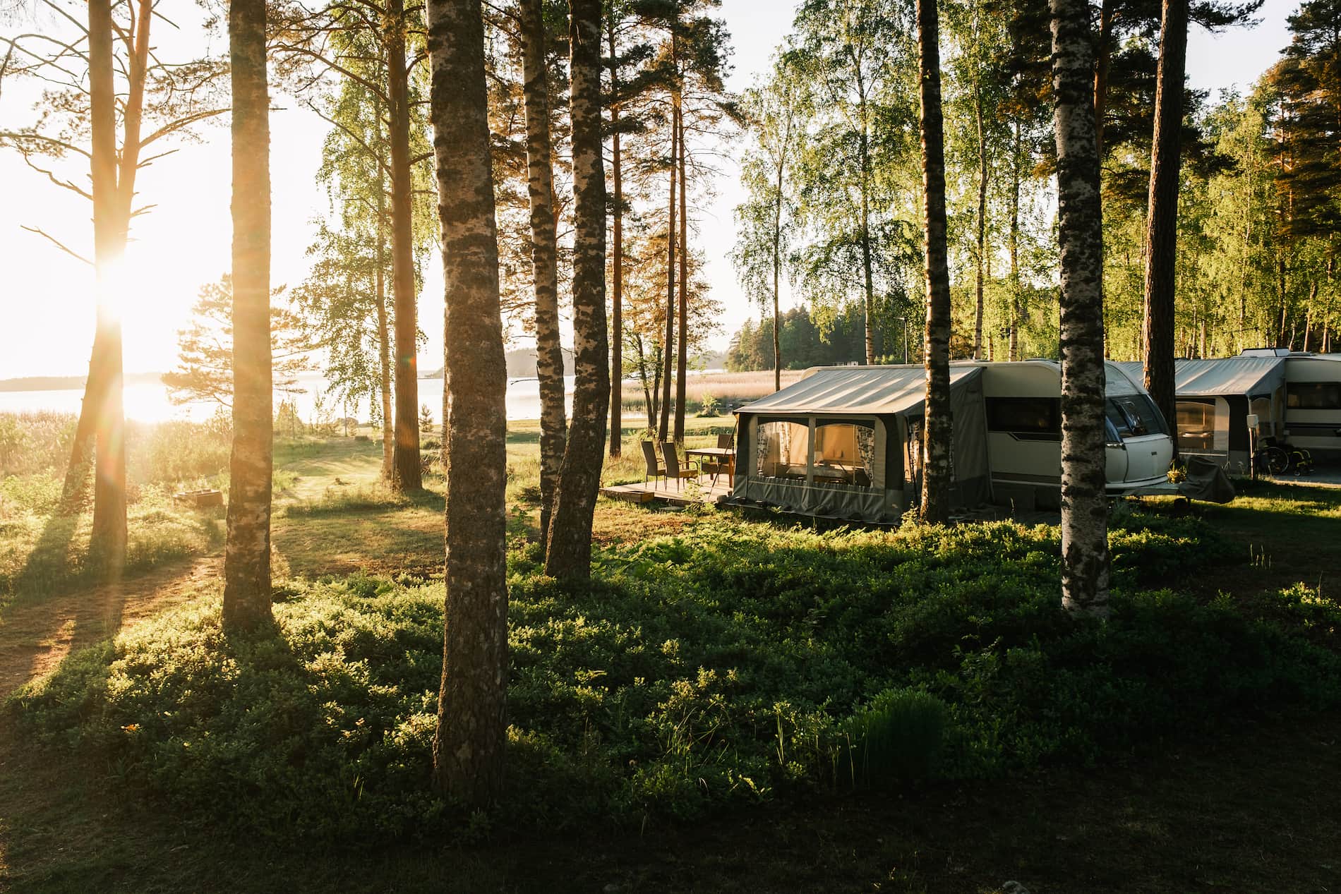 Caravans parked among tall trees in a sunlit forest clearing near a lake, with sunlight streaming through the branches.