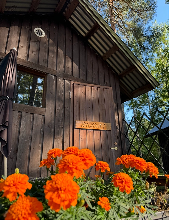 A wooden sauna building with a sign reading "sauna" on the door, surrounded by bright orange marigold flowers and trees in the background.